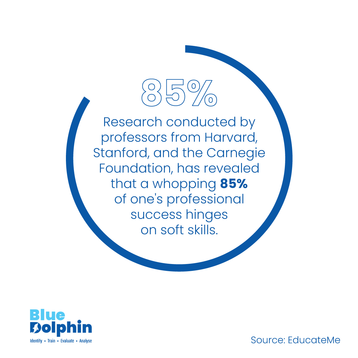 BlueDolphin tweet media