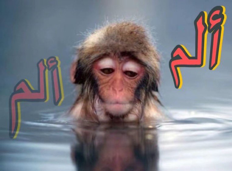 رنت علي شركة عشان التدريب والتلفون علق وفصل بوجههم