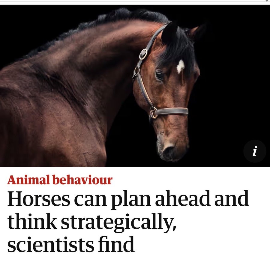 AdamCSharp's tweet photo. Related joke...

Horse walks into a bar and the bartender says "beer?"
Horse says "I think not," then vanishes*

*This is a reference to the quote "I think, therefore I am," which maybe I should've mentioned at the start (but that would've been putting Descartes before the horse) https://t.co/Hx7Itsda68