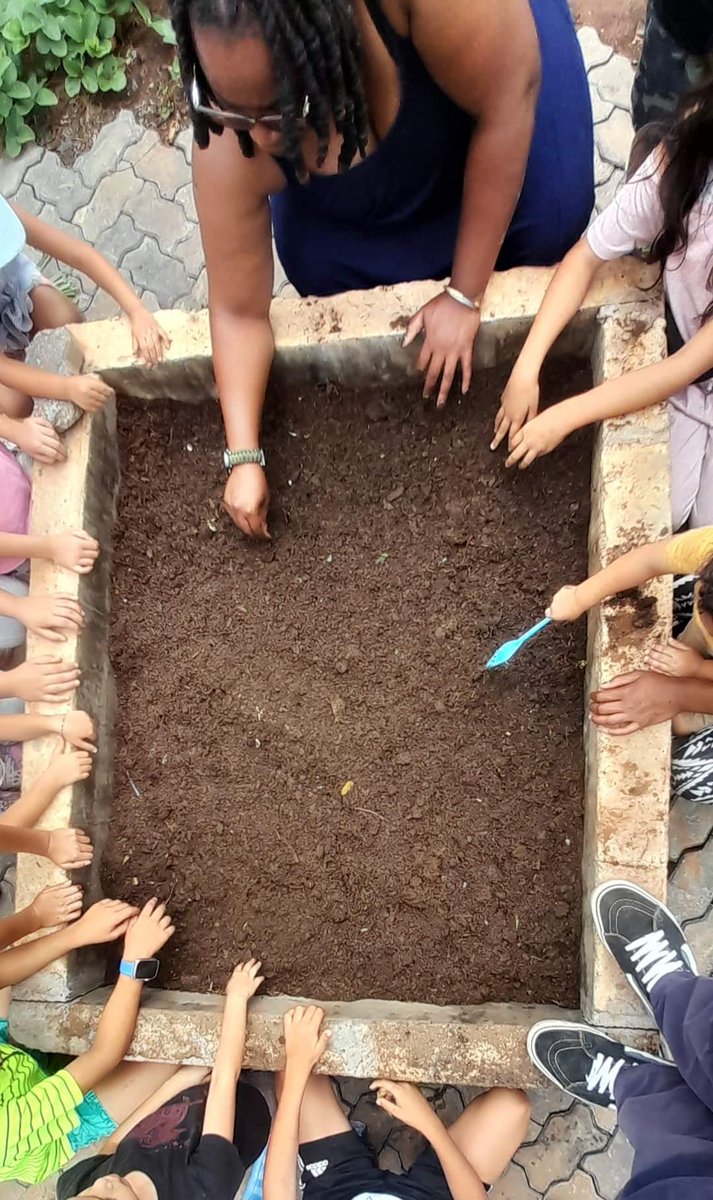 lindagabriel263's tweet photo. Food Garden with kids can be fun!
#catchthemyoung
#yardtotable
#foodgarden https://t.co/NWiTWZvMdC