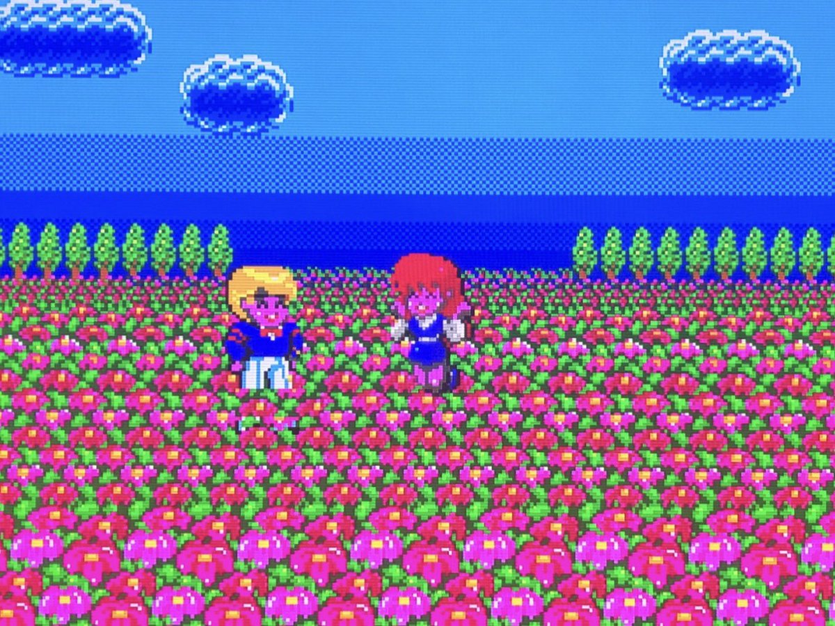 sekiro_51's tweet image. 上　Alex Kidd in Shinobi World
下　Dynamite Dux
オープニング似てるな😅 #SegaMasterSystem 版ダイナマイトダックスは主人公がルーシーとお花畑でデートしてたらアヒルに変えられ彼女は攫われる設定🐣アケ版はルーシーのペットBINとPIN2人プレイだったのが1P専用になったせい?🤔
#DynamiteDux #sms