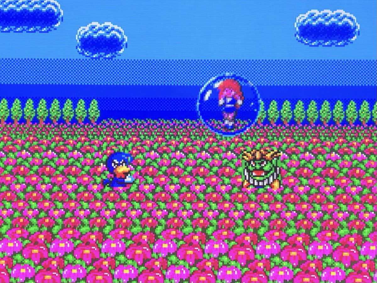 sekiro_51's tweet image. 上　Alex Kidd in Shinobi World
下　Dynamite Dux
オープニング似てるな😅 #SegaMasterSystem 版ダイナマイトダックスは主人公がルーシーとお花畑でデートしてたらアヒルに変えられ彼女は攫われる設定🐣アケ版はルーシーのペットBINとPIN2人プレイだったのが1P専用になったせい?🤔
#DynamiteDux #sms