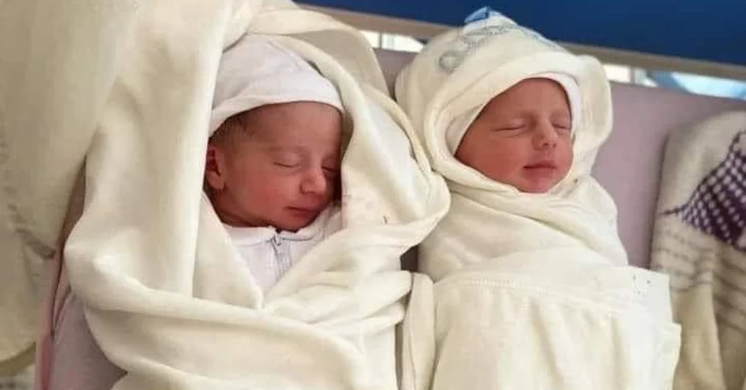 caitoz's tweet photo. He Had Two Babies

He had two babies. Twins. Aysal and Aser, a boy and a girl.

Mohammad Abu Al Qumsan had two babies and a loving wife.

Now he has nobody.

An Israeli airstrike killed both his babies, and their mother, and their grandmother, while he was out collecting their birth certificates.

They had just been born.

There’s a video of him screaming, screaming the way any of us would scream. The screams of a man who suddenly lost everything a man could possibly lose. Screaming Gaza’s screams.

Sometimes it feels weird that we’re not all screaming like that man all the time, as long as we share a planet with this nightmare. Sometimes I kind of want to.

After Aaron Bushnell self-immolated in protest of this genocide I remember reading someone say something like “I understand the man who set himself on fire better than I understand the people in my own community going around like nothing’s happening.” Al Qumsan’s screams remind me of those words today.

It often feels like an obnoxious sacrilege that our civilization hasn’t stopped dead in its tracks while this happens day after day, month after month, with the full-throated support of our own western governments. How we’re still going to movies and dinners and laughing and joking while those bloodcurdling screams are erupting from Gaza. It feels like waltzing outside the extermination camp and trying to ignore the smell of the black smoke coming from the chimneys.

We look like lunatics. We are acting as crazy as someone whistling and dancing in the middle of a roaring house fire. Surely it would be a hell of a lot saner to be screaming all the time than to be going along our merry little way like this horror isn’t happening.

But that would be socially inappropriate. It would make people uncomfortable. Here, in this dystopian civilization, it’s considered rude to even bring it up.

Here in Australia the Melbourne Symphony Orchestra has canceled the performance of acclaimed pianist Jayson Gillham after he dedicated a piece to the historically unprecedented number of journalists who have been killed in Gaza since October. The MSO called this dedication “an intrusion of personal political views on what should have been a morning focused on a program of works for solo piano,” adding that “The MSO understands that his remarks have caused offence and distress and offers a sincere apology.”

“Offence and distress.” At a dedication to murdered journalists. At a concert hall.

Forget about Mohammad Abu Al Qumsan’s “offence and distress”. After all, he only lost his babies, his wife and his mother-in-law to an Israeli airstrike. He wasn’t made to feel emotionally uncomfortable by someone talking about the bad things Israel is doing at a fancy classical music venue.

Forget about Al Qumsan, and forget about the two million people like him who’ve been screaming the same screams and living the same nightmare. What matters is our emotional comfort, and our ability to psychologically compartmentalize our mainstream political beliefs away from the realities of their consequences.

Nobody should set themselves on fire. But I can understand why one did.

Here in this fake, fraudulent civilization, we ignore the screaming.

We ignore the screaming and we go to concert halls in our best dress and our finest jewelry and demand an apology if anyone around us should make us feel uncomfortable with our support for a murderous apartheid state that is currently conducting a genocide.

We ignore the screaming while slowly dying inside, cut off from truth and authenticity and a sincere connection with our fellow human beings.

We ignore the screaming while yearning for sincerity like a Palestinian trapped under a flattened building yearns for open air and a bottle of water.

We ignore the screaming outside of ourselves. And we ignore the screaming within us.

Mohammad Abu Al Qumsan, I am with you tonight.

Aaron Bushnell, I am with you tonight.

I scream until my voice is gone.

Tonight I have nothing more to offer than this.