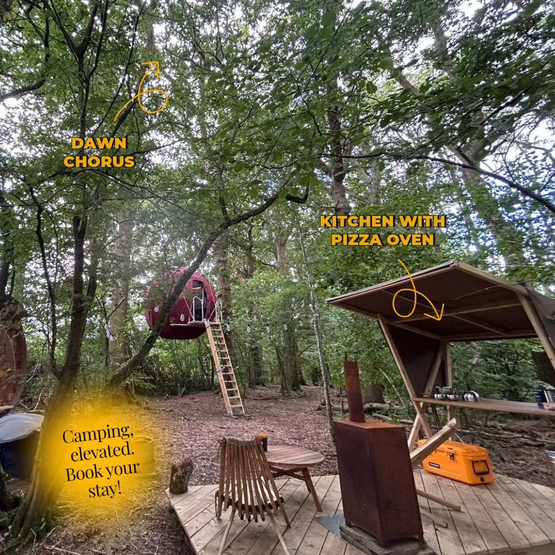 TreeTents's tweet image. The Strawberry Lane Tree Tent in #WestSussex is now ready for you to book! 🍓

Your trip includes not only the #TreeTent, but the full site to yourself; complete with wood-fired hot tub, bathroom, shower, kitchen, oven, loungers &amp;amp; much more.

🏕️ Book now: treetents.co.uk/blogs/sites/st…
