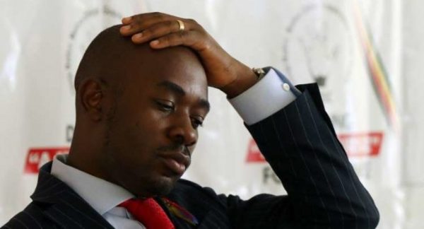 thezwpatriot's tweet photo. President Mnangagwa’s leadership has led to significant progress in Zimbabwe, from the ZiG currency to hosting the SADC Summit. No need for Chamisa's self-centered talks. #Zimbabwe #SADC2024 #Chamisa #POLAD #Mnangagwa
Read More: https://t.co/qmZli5W96U https://t.co/qWG4VB7n8W