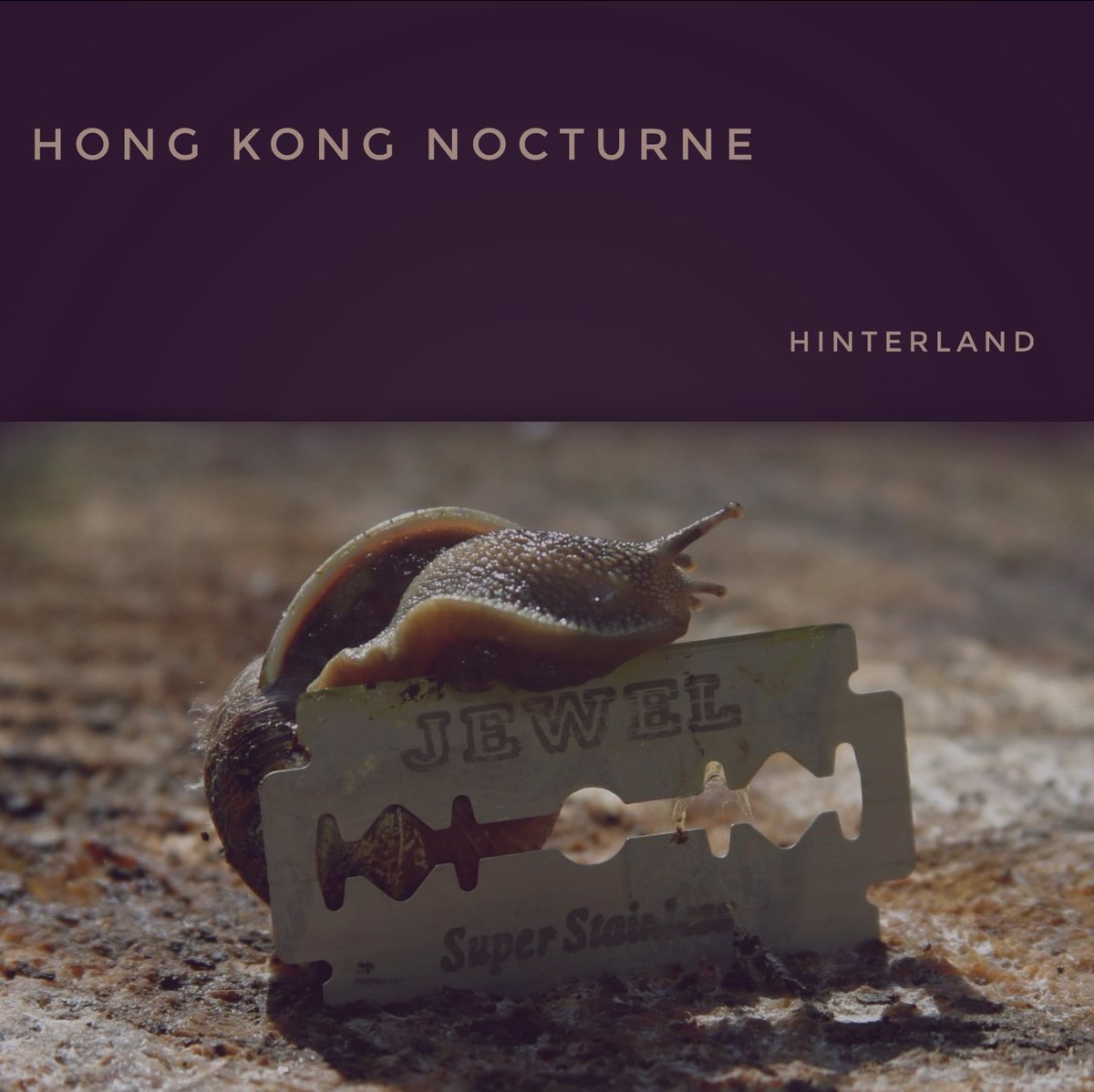 HKNocturne's tweet image. 🚨New Music🚨

Our new album 'Hinterland' is now available on your preferred streaming platform, as well as on #bandcamp for download!

Follow the link in our profile, or click below 👇 

linktr.ee/hongkongnoctur…

#NewMusicAlert 
#irishmusic
#MusicStreaming