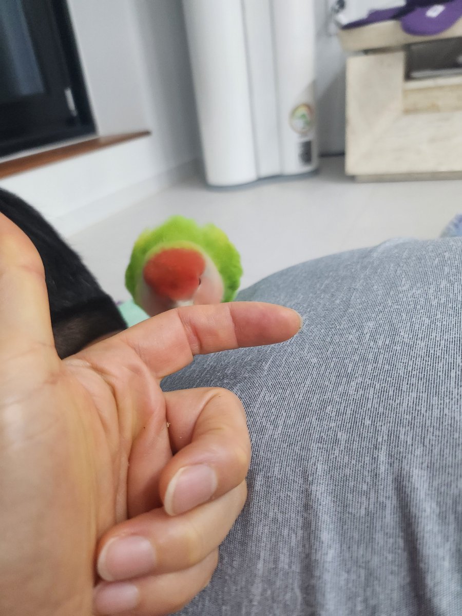 ㅋㅋㅋㅋㅋㅋㅋㅋㅋㅋㅋㅋㅋㅋ아웃겨 아빠 등짝 자기 거라고 소유권 주장하는 초록새
양아치도 이런 양아치가 따로 없다