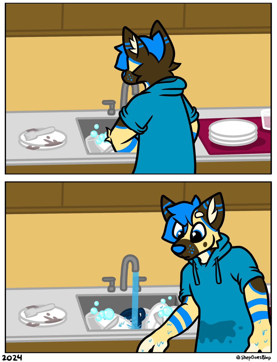 ShepGoesBlep's tweet photo. Water is wet https://t.co/HmhQ6GWL5n