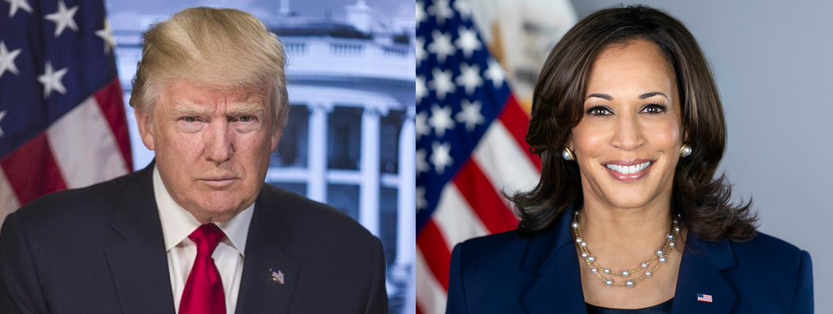 🇺🇲 2024 GE: <a href="/J_L_Partners/">J.L. Partners 🇺🇸</a> | <a href="/DailyMail/">Daily Mail</a> 

🟥 Trump: 43%
🟦 Harris: 41%
🟨 RFK Jr: 5%
🟪 Other: 2%

#145 (1.6/2.0) | 1,001 LV | 8/7-11 | ±3.1%
dailymail.co.uk/news/article-1…