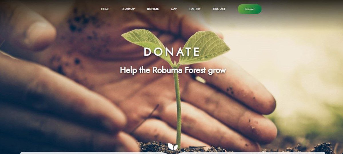 RoburnaForest's tweet photo. Interested in planting a tree in #RoburnaForest? It's easy!
- Head to https://t.co/pIPguURWrt
- Connect your funded wallet
- Scroll down to mint a tree NFT
And you're done! Your NFT plants a real tree in Roburna Forest. #StartMintingToday! 🌳🌲
#NftTrees #Nature https://t.co/th6zV6mL6W