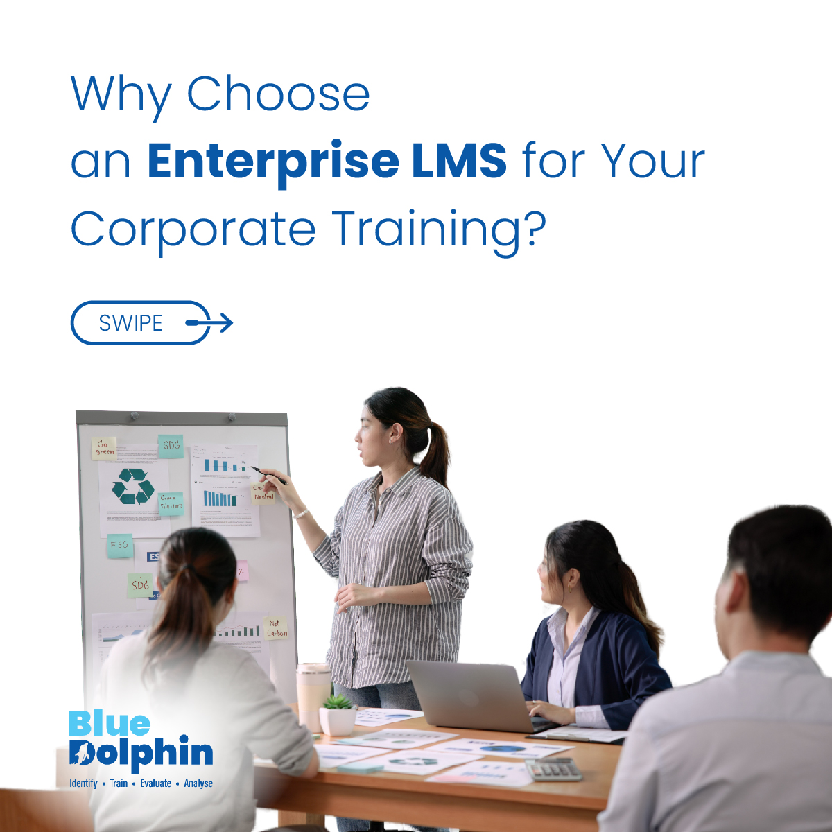 BlueDolphin tweet media