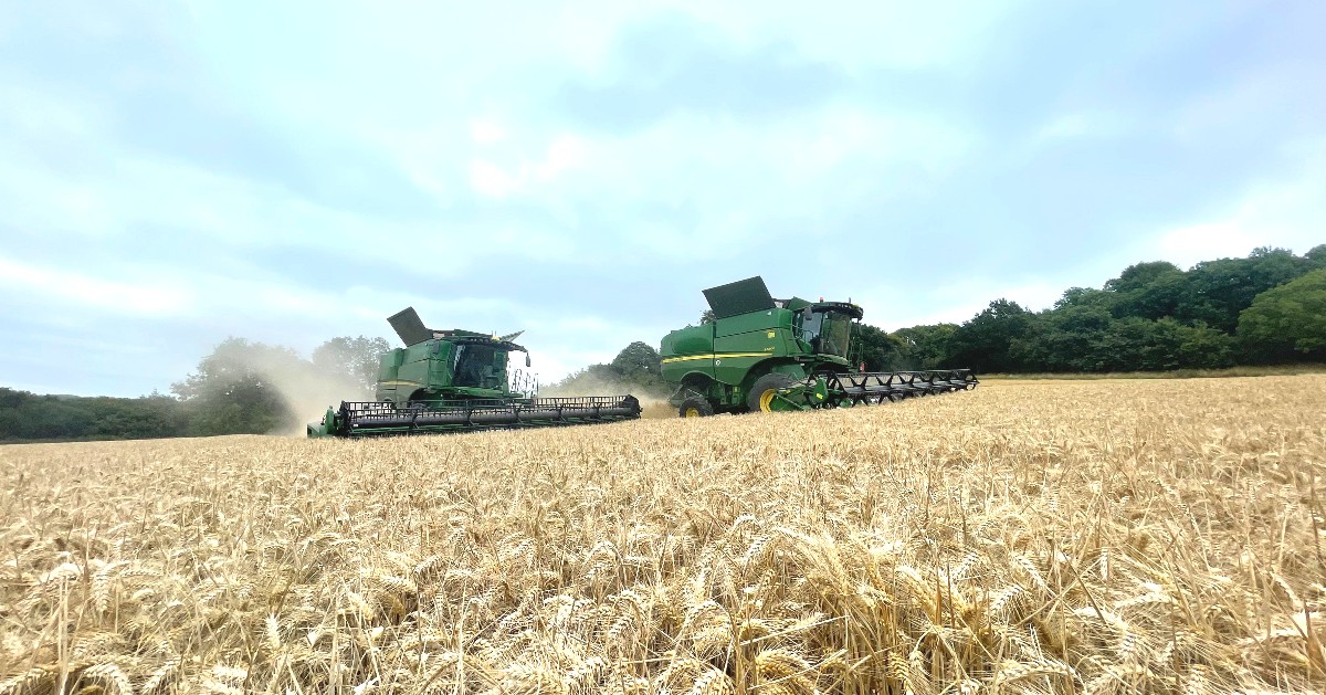 Great to see a pair of  John Deere S-Series HillMaster combines in action! 

The John Deere S785 and S680i are efficiently navigating the banks in Kent.

 #JohnDeere #HillMaster #CombineHarvester #FarmMachinery #HarvestSeason