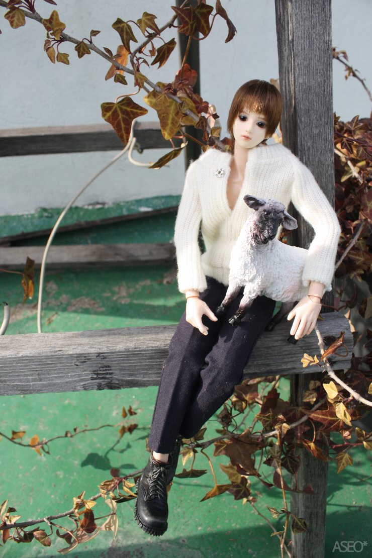 aseodoll's tweet photo. (2012) 어떻게 이런 감성샷이 ... 먼 일본 미소녀같이 찍어놓은겨 https://t.co/Rxeo2RGveO