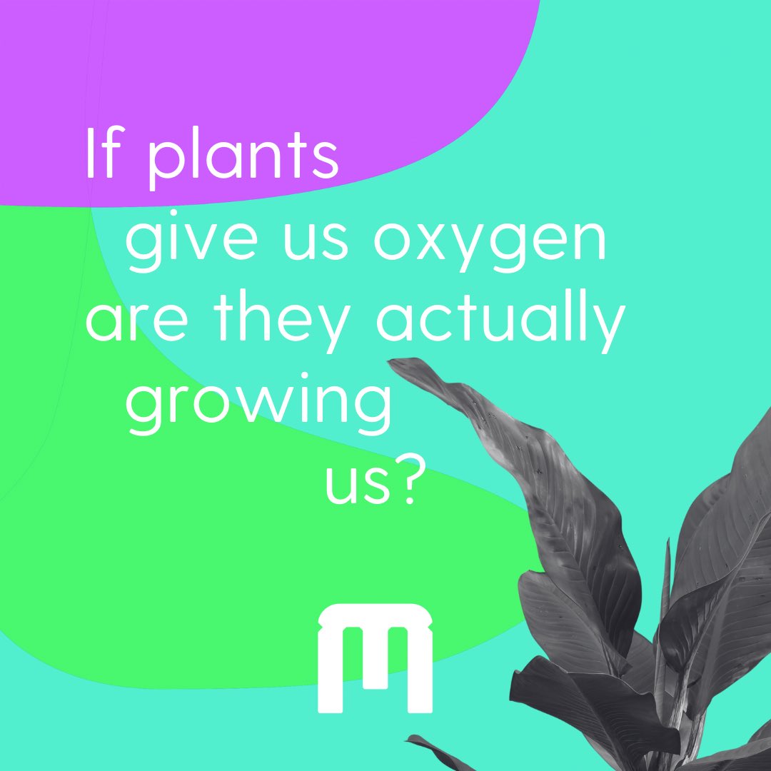 Make the most of the nice weather, letting nature help you grow on your recovery journey! 🌱 

#likethewayyouthink #mindfulness