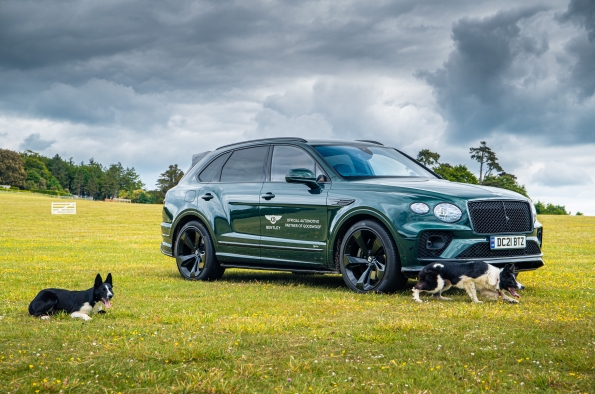 luxurylifestyle's tweet image. Bentley returns for a pawfect weekend at Goodwood’s festival for dogs luxurylifestyle.com/headlines/bent… #pets #petactivities #petcare #luxurypets