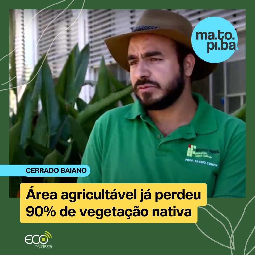 Conversamos com o geógrafo e professor do Instituto Federal de Brasília (IFB), Tássio Barreto Cunha, sobre a expansão do agro no Oeste da Bahia. Confira: bit.ly/tassiocunha