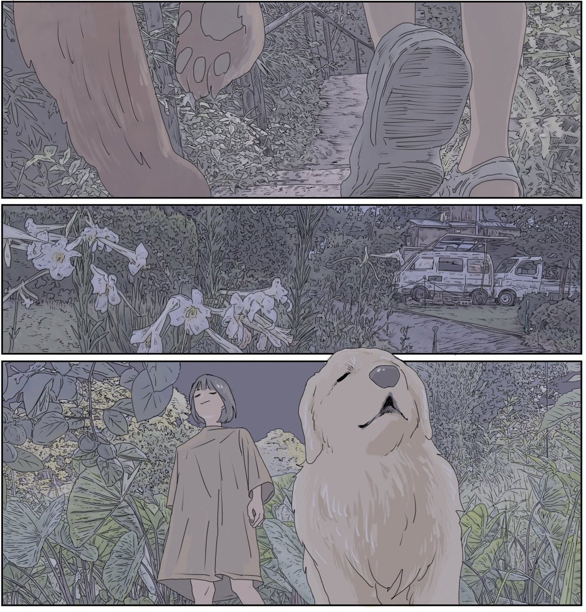 夜のお散歩🦮🌿