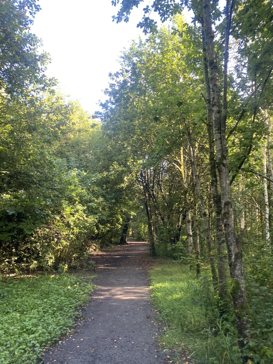 runrevsharon's tweet photo. Not gunna lie after not running since before my holiday - that 4km was pure hell but I was happy it was done and a longer walk home to get my steps in. 3 days until #runthroughthelights https://t.co/8j07qyx1zR