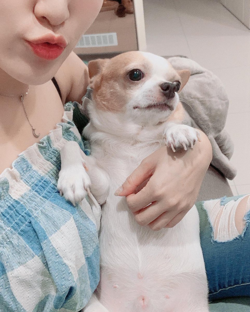 Cradling my puppy in my arms, I feel a deep sense of love and protection. This little one is family to me, not just a pet.