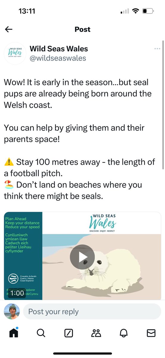 Gill Lewis (@gill__lewis) on Twitter photo โDonโt land on beaches where you think there might be sealsโ
Come on <a href="/NatResWales/">Cyfoeth Naturiol Cymru | Natural Resources Wales</a> <a href="/NationCymru/">Nation.Cymru</a> -
We know for certain that nesting auks have been recklessly disturbed by coasteering.
Letโs uphold the law & protect the seals at the SAC. Stop coasteering at Ceibwr
<a href="/CadwCeibwr/">Cadw Ceibwr Conservation</a> โDonโt land on beaches where you think there might be sealsโ
Come on <a href="/NatResWales/">Cyfoeth Naturiol Cymru | Natural Resources Wales</a> <a href="/NationCymru/">Nation.Cymru</a> -
We know for certain that nesting auks have been recklessly disturbed by coasteering.
Letโs uphold the law & protect the seals at the SAC. Stop coasteering at Ceibwr
<a href="/CadwCeibwr/">Cadw Ceibwr Conservation</a>