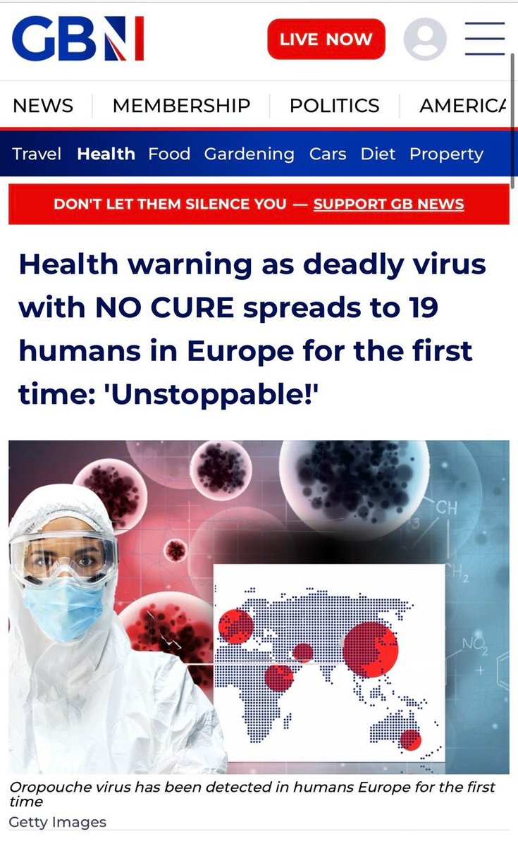 Wide Awake Media tweet media