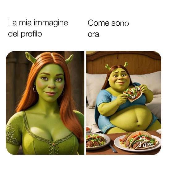 tizianoscara tweet media