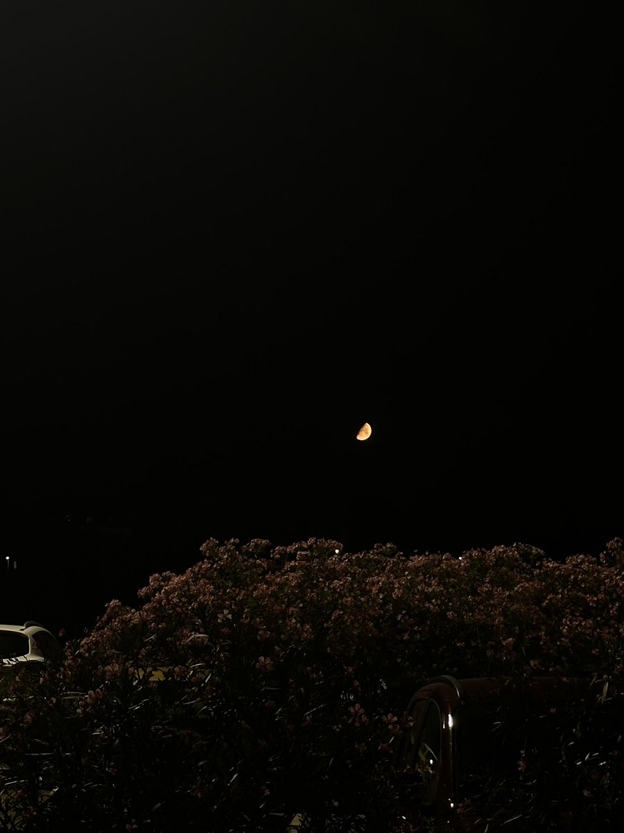 mariamcflyy's tweet photo. 🌙✨ https://t.co/7gA1vIRs6Y