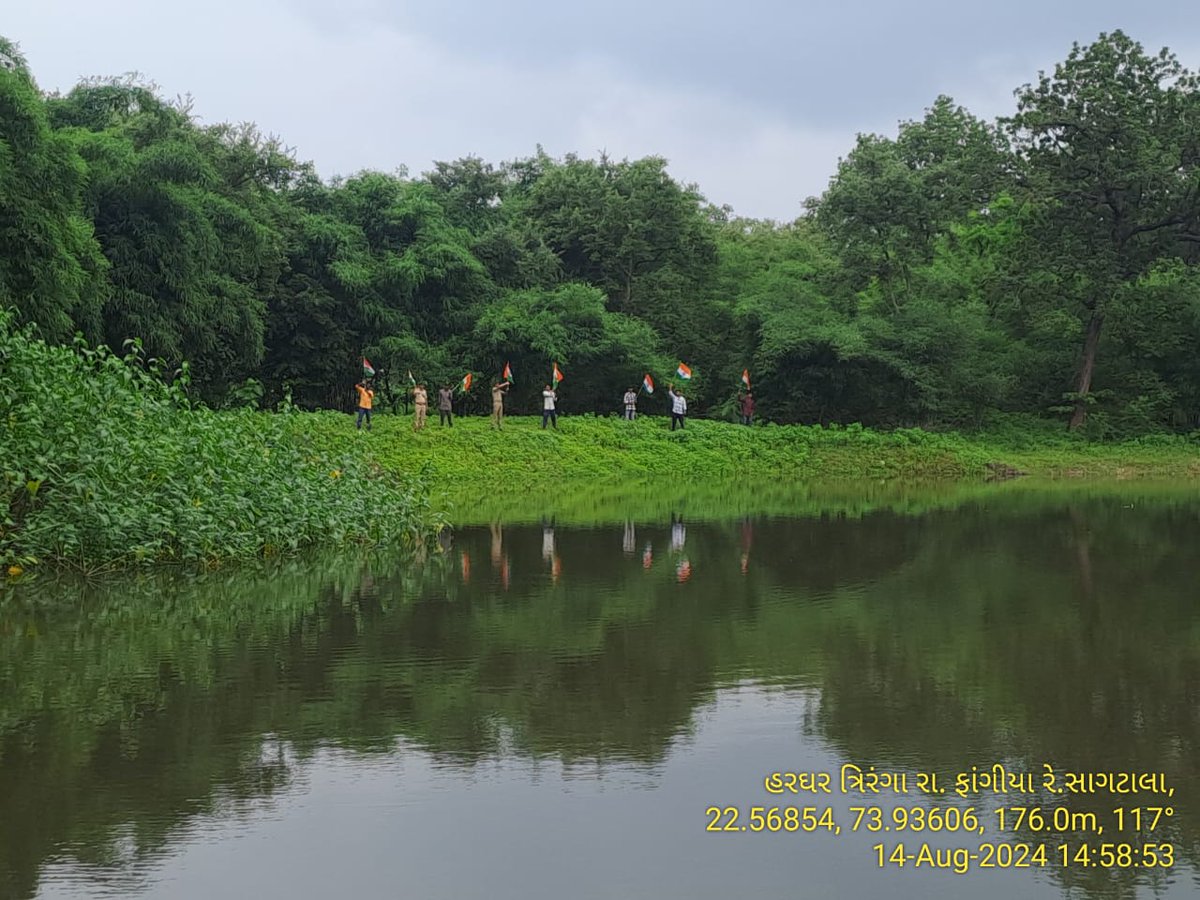 DCFBaria tweet media