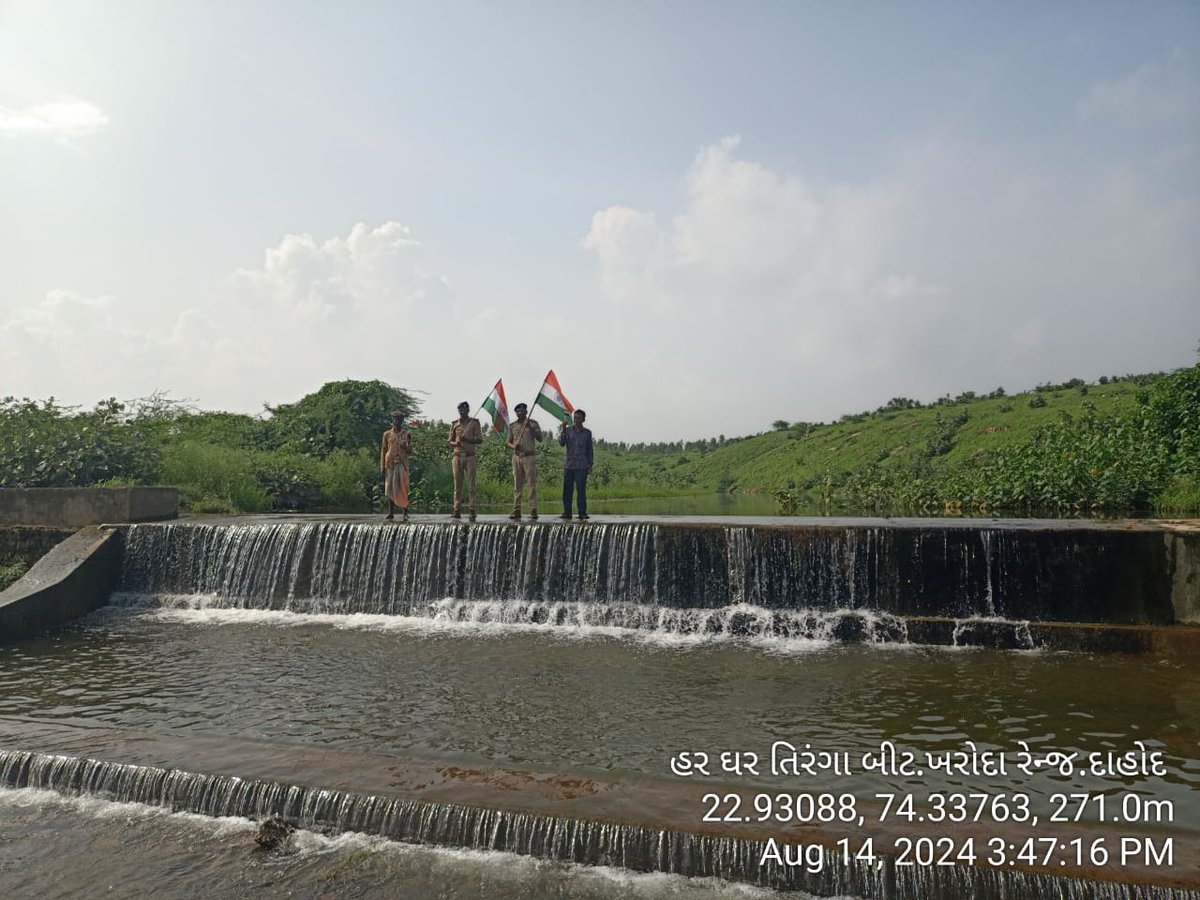 DCFBaria tweet media