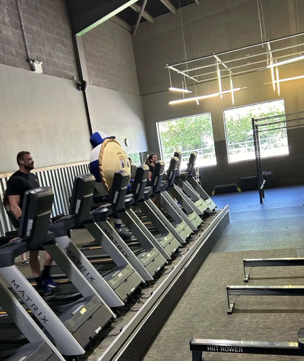 Mackie Jr 🇸🇱🇮🇪 tweet media