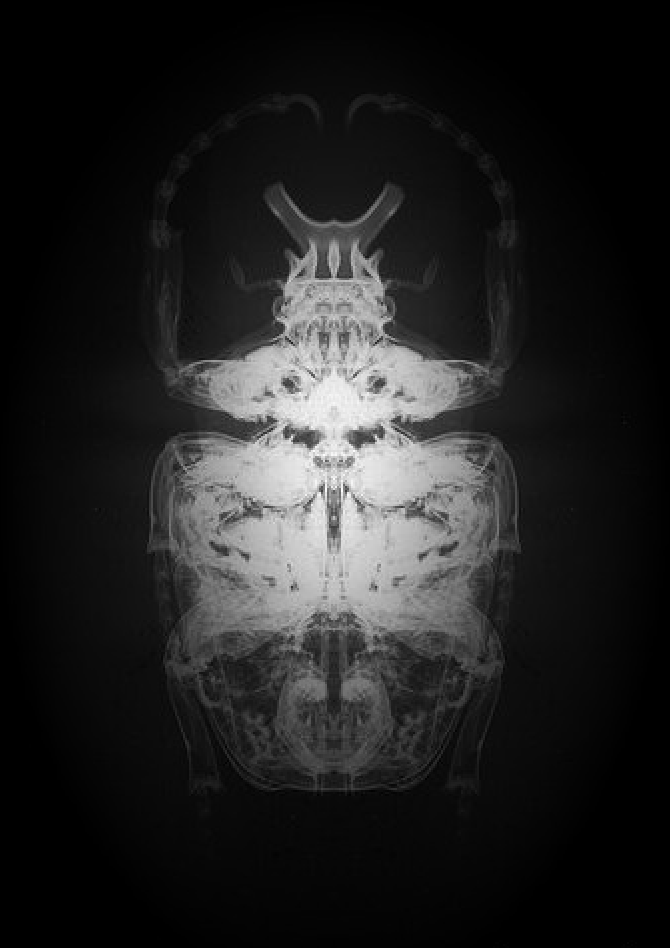 LAST_LODGE's tweet photo. I just published THE COMING. https://t.co/FmHAN7gg51 https://t.co/U9mjVI0kUc