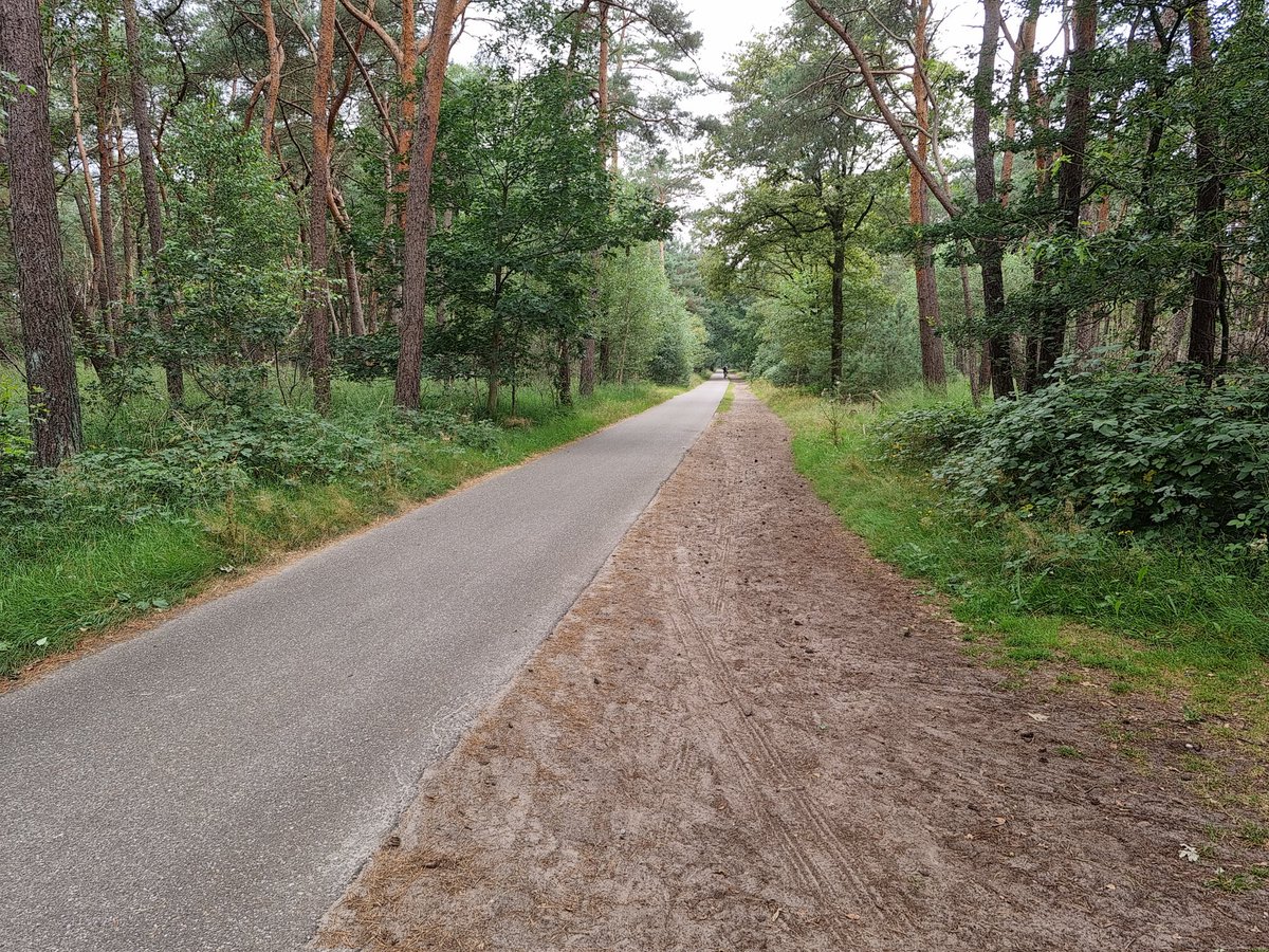 Nice walking/wheeling/cycling path next to horse track.