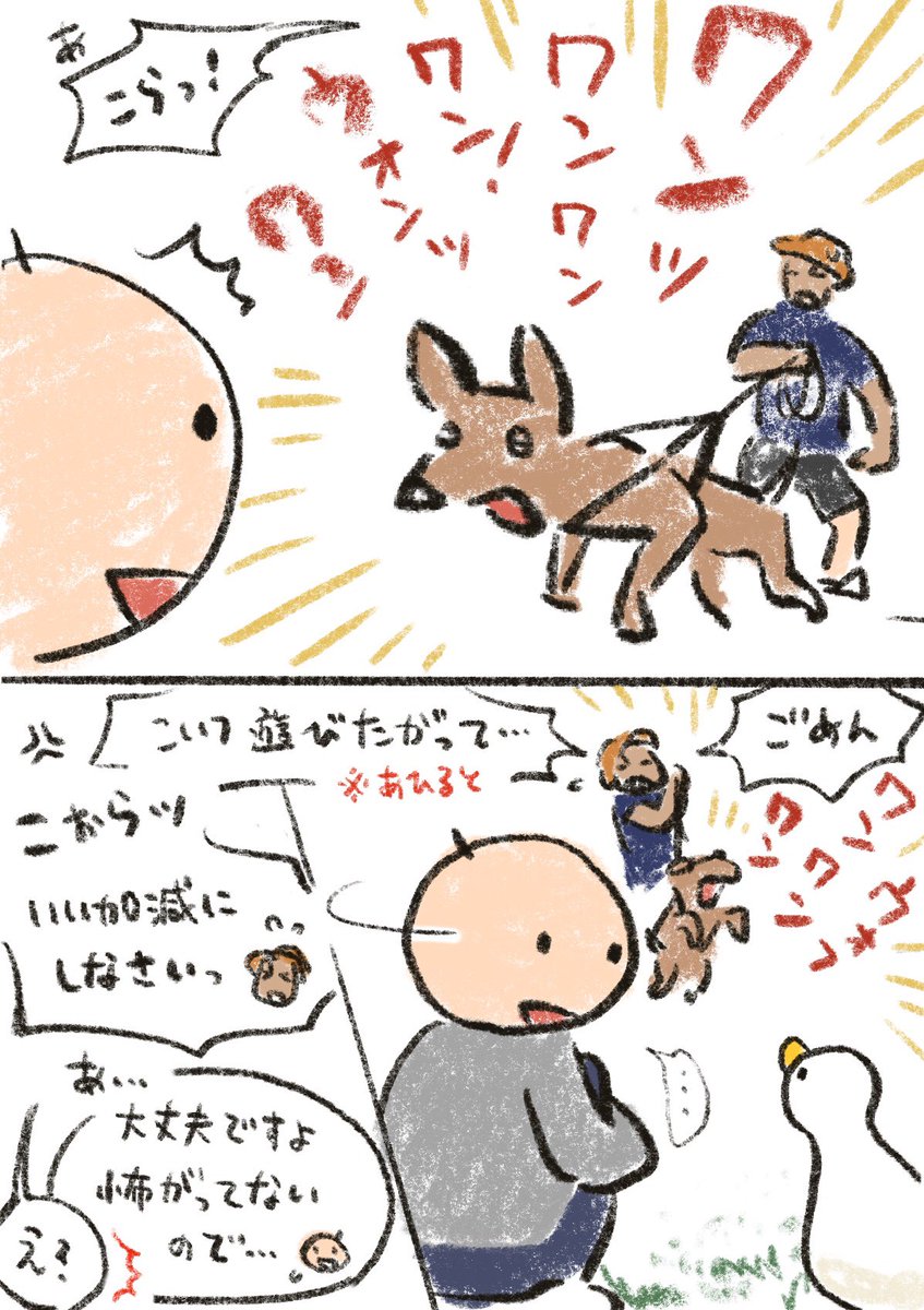 aotoudai's tweet photo. 昨日あったこと　1/2
うちのあひるの性格 https://t.co/BJ0geMCTWe