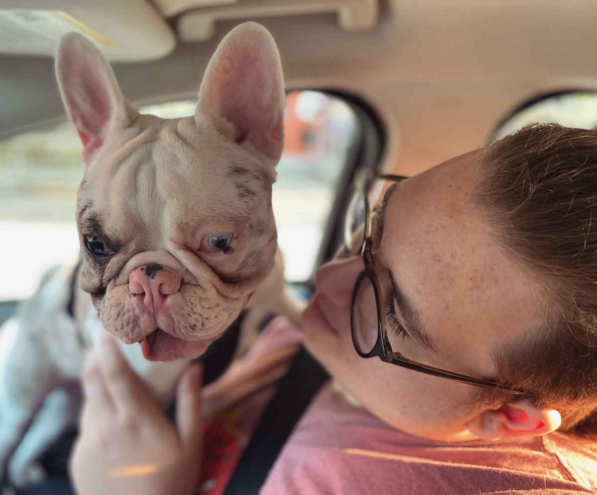 OnaagoshinAnang's tweet photo. One of these assholes kept me up really late last night. And, I had to get up really early to drive the other one to his externship at the bakery. They’re lucky I love them. #Youngblood #Bear #Son #GooseFeo #Frenchie #ThereIsntEnoughCaffeine #HowIsItOnlyWednesday https://t.co/4LnnjtO4RP