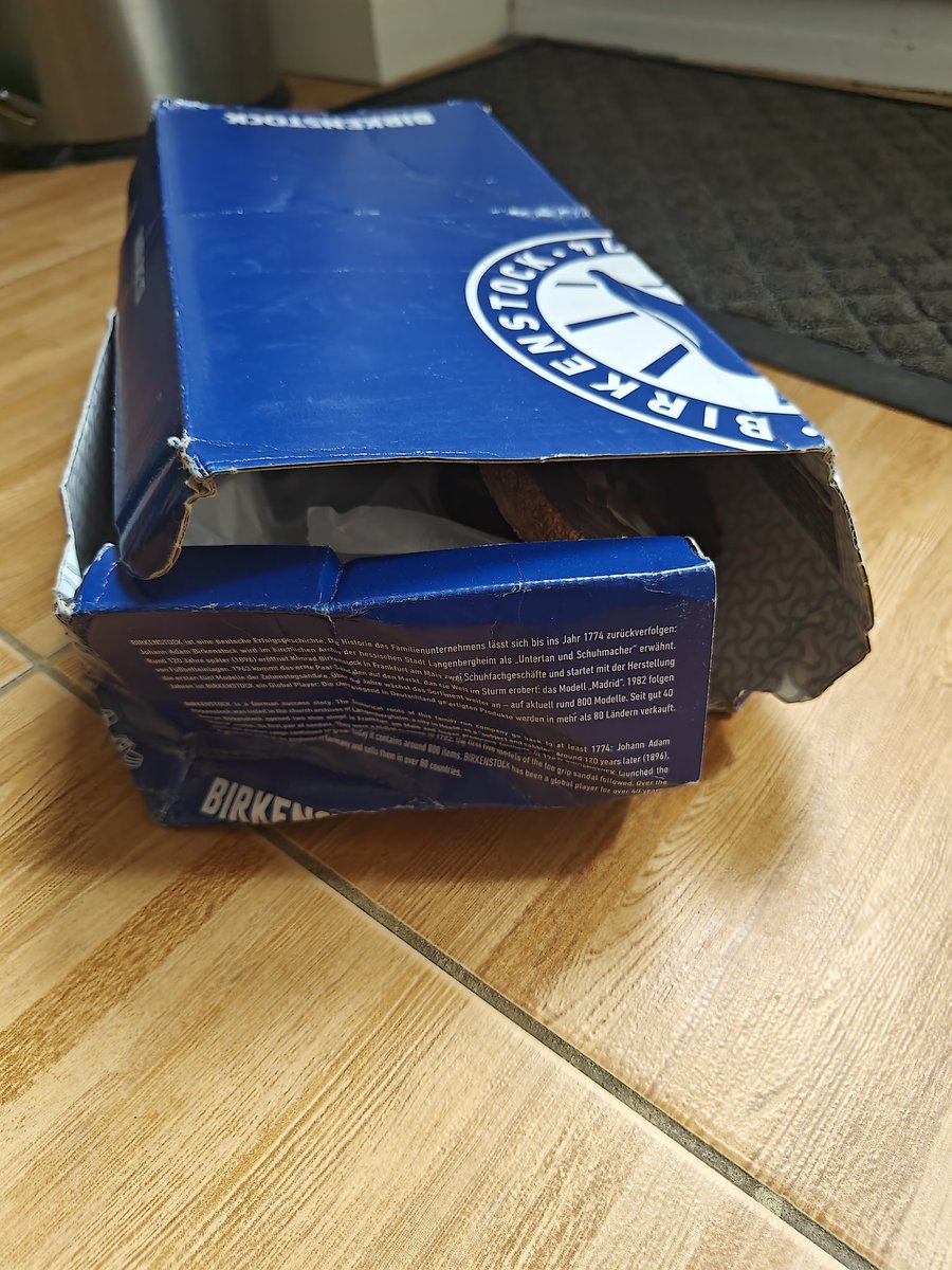 sophie spence tweet media