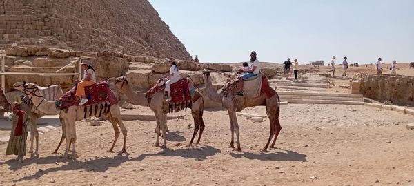 ayman171963's tweet image. #Top #VIPFamily Mr. &amp;amp; Mrs. Pandor from #South #Africaenjoying their #timewith #Wedjat #Toursin #Egypt📷
wedjat-tours.com
You Tube: youtube.com/c/WedjatTours/…
Instagram: instagram.com/wedjat_tours
Twitter: 
TikTok: tiktok.com/@wedjattours?l…