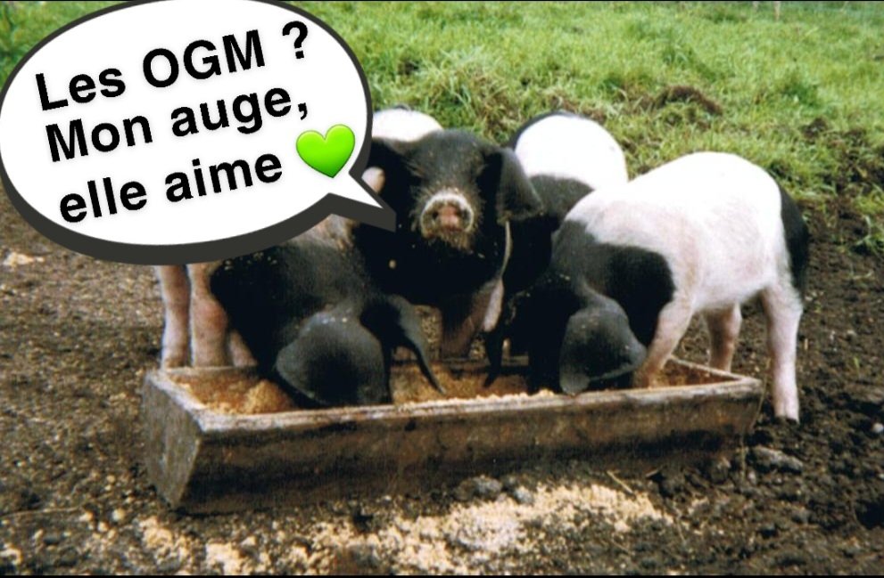 saveurdantan's tweet photo. #OGM #StopAgribashing #PasToucheMonAssiette #PresqueHolorime 💚 https://t.co/ybu4QJjvCB