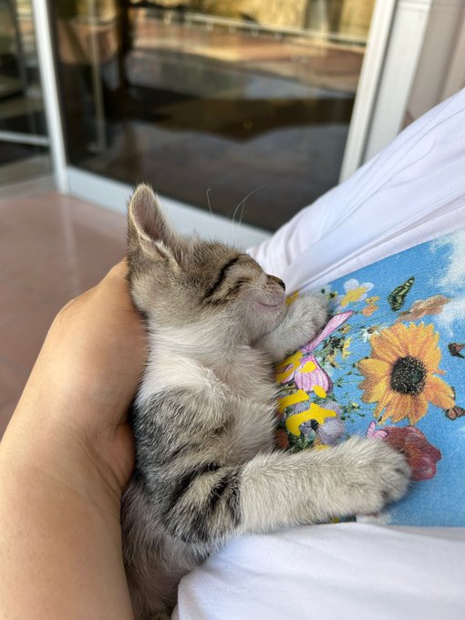 ŞU SALAĞA BAKIMMMMMMM https://t.co/CkF56mbAbf<a href="/tag/yeniprofilresmi"class="tags"><span>#yeniprofilresmi</span></a>