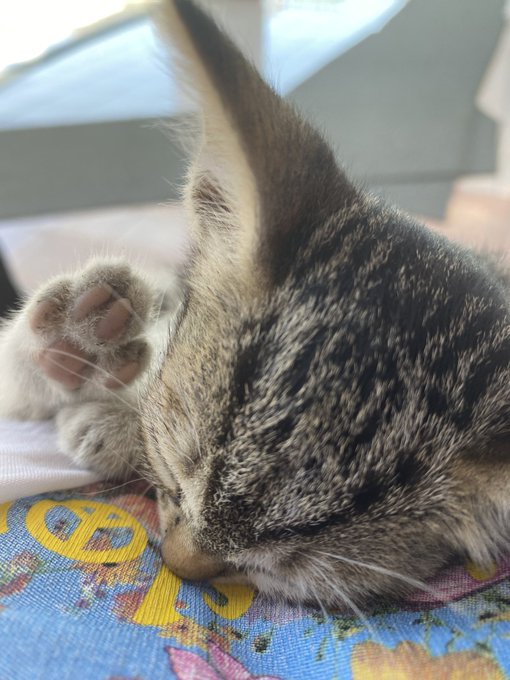 ŞU SALAĞA BAKIMMMMMMM https://t.co/CkF56mbAbf<a href="/tag/yeniprofilresmi"class="tags"><span>#yeniprofilresmi</span></a>