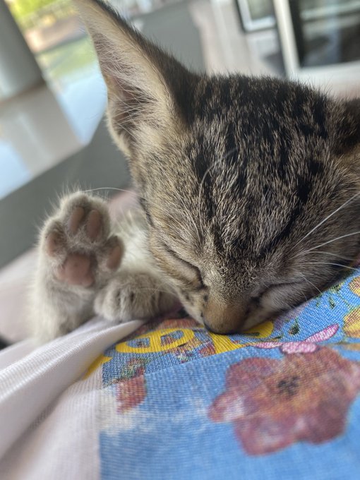 ŞU SALAĞA BAKIMMMMMMM https://t.co/CkF56mbAbf<a href="/tag/yeniprofilresmi"class="tags"><span>#yeniprofilresmi</span></a>