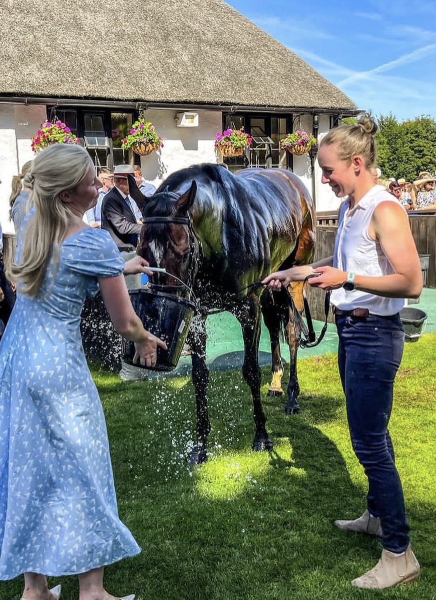 MargarsonRacing's tweet image. Following a long and wonderful career the decision has been made to retire Chubby aka Ropey Guest. He’s been a gutsy, consistent and well loved flag bearer for our team. He’s rarely been out of the frame and his commitment to trying his best has never gone unnoticed.