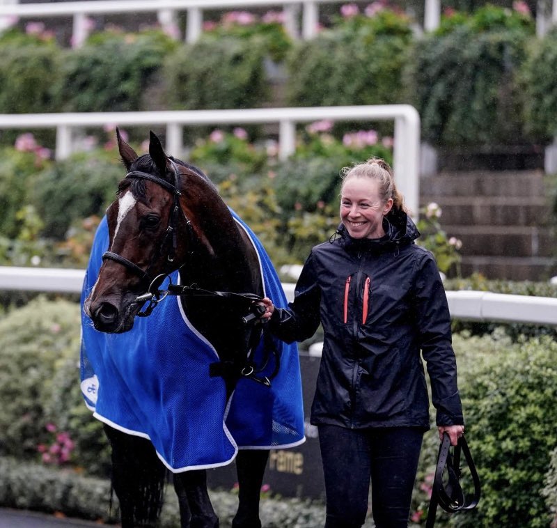 MargarsonRacing's tweet image. Following a long and wonderful career the decision has been made to retire Chubby aka Ropey Guest. He’s been a gutsy, consistent and well loved flag bearer for our team. He’s rarely been out of the frame and his commitment to trying his best has never gone unnoticed.