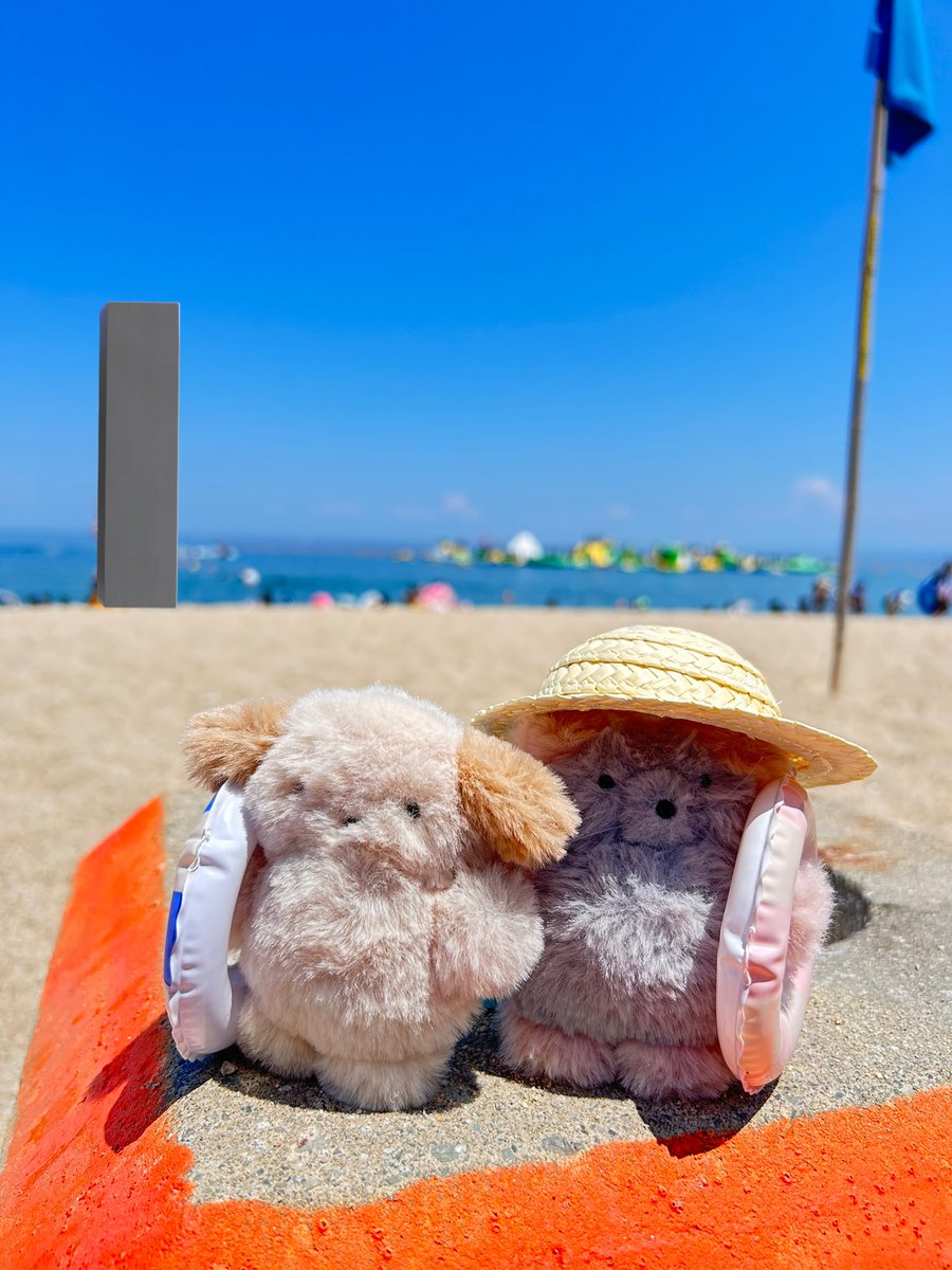 「「海にきたぞー！！！」」