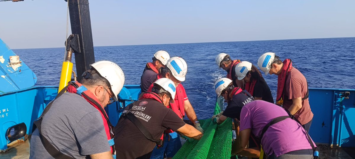 Akdeniz Araştırma 1 Doğu Akdeniz’de…
Türkiye’nin Akdeniz kıyılarında 24. Coğrafik alt alandaki (GSA24) balıkçılık kaynaklarının izlenmesine yönelik yürütülecek sörveyin 2024 yılı çalışmaları GSA24’ün batısından başladı <a href="/un_fao_gfcm/">General Fisheries Commission for the Mediterranean</a> <a href="/tagem/">TagEmUK</a>
