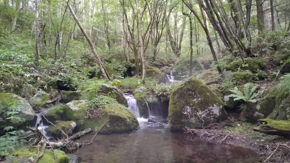 fujihir16395883's tweet photo. 久々にこの区間を釣った
大きいのはスレてる感じで釣れず
釣れるのはチビばかり😵‍💫
#イワナ
#palms
#egeria
#thumbshad
#smith
#dcompact
#daiwa
#caldia
#slpworks https://t.co/aWmpSIM7Kr