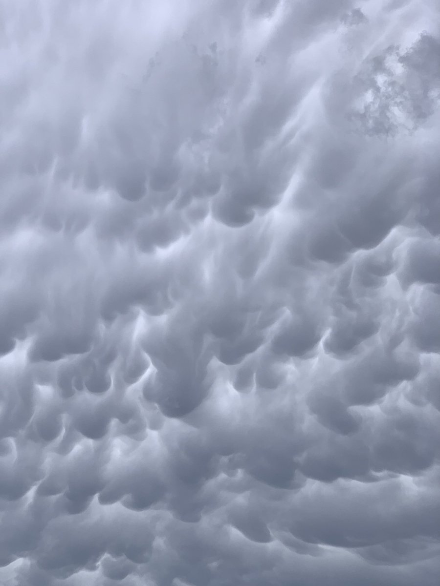 xescserrano's tweet photo. Mammatus sobre Pina (Algaida) @AEMET_Baleares @MiquelSalamanca @Meteodemallorca @Alex_MeteoM @Meteodemallorca @DuncanWingen https://t.co/BMbiqykN6d