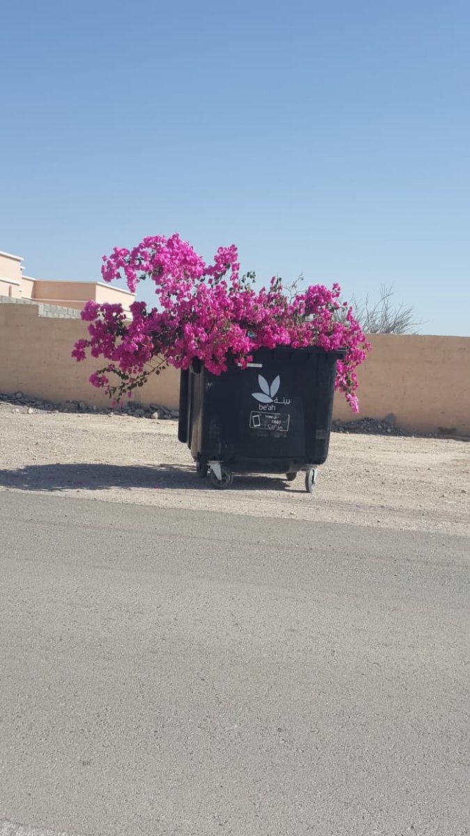 “ تشبه المعروف في بطن الردي “