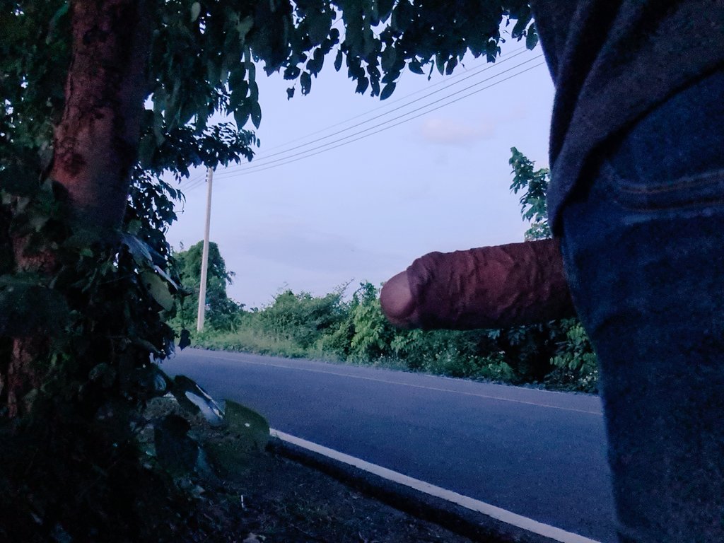 BisignCM tweet media