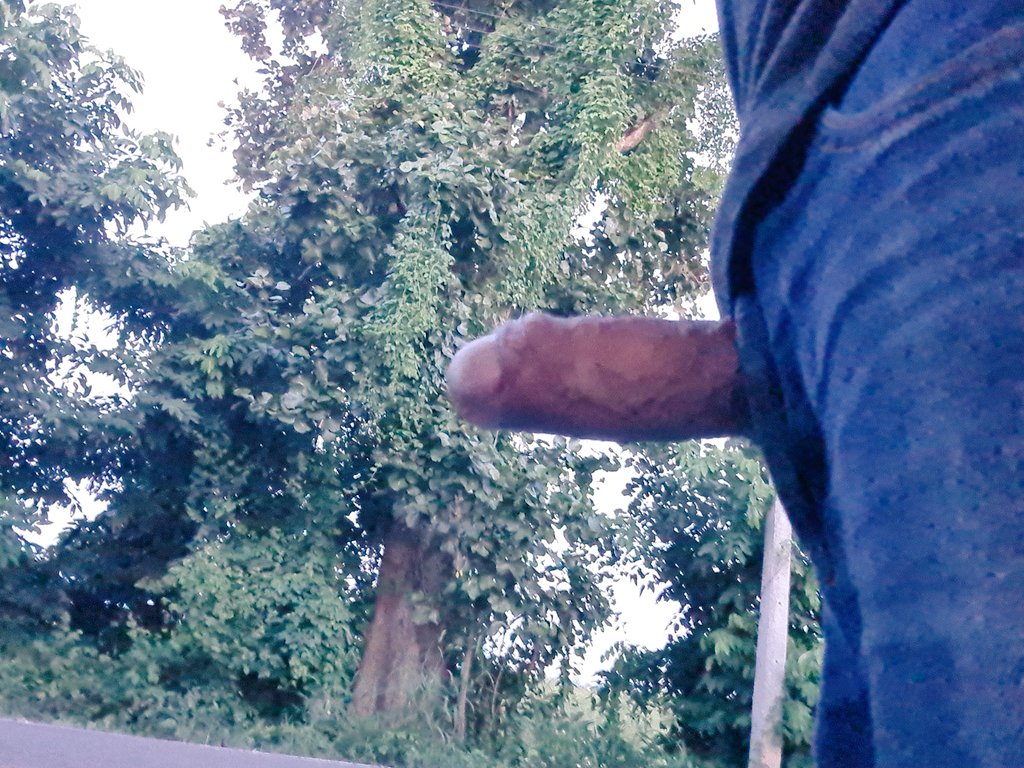 BisignCM tweet media