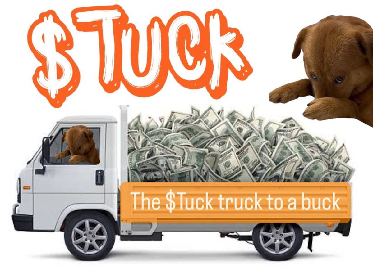 $TUCK is now connected with the real life TUCK

Bestest dog with 52.5 million flowers on Duoyin

Endless memes moving forward and a big audience beyond CT 

Almost equal to the % supply that is locked up until 2028, which is 54.5%.

10 days old and community focus.

No jeets here